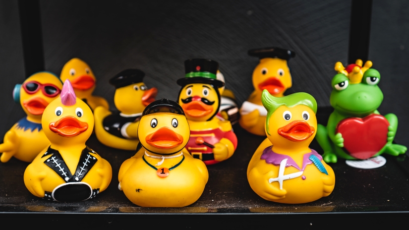 Just try to explain the issue to your duck-mate one sentence at a time.